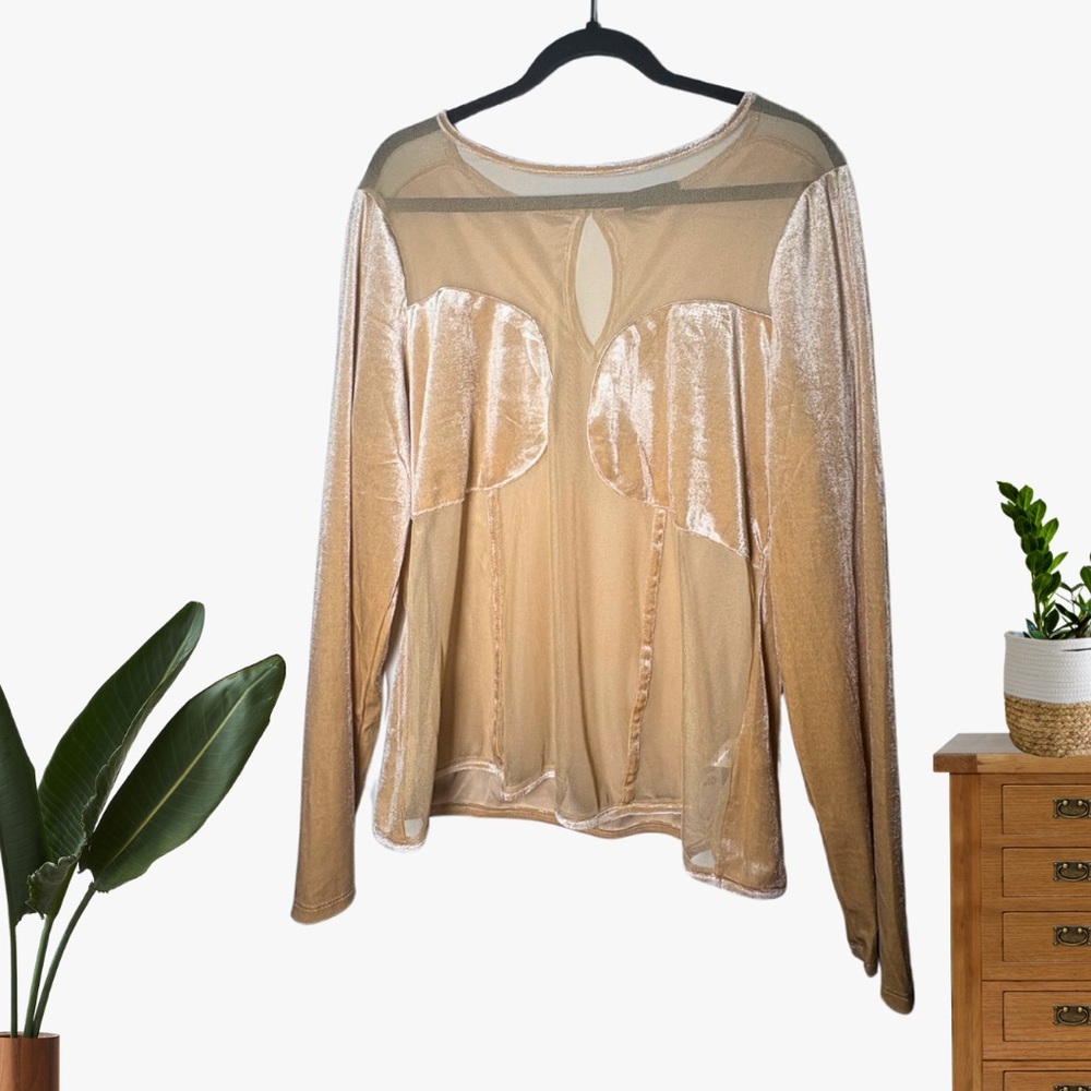 Elegant Tan Sheer Women's Top